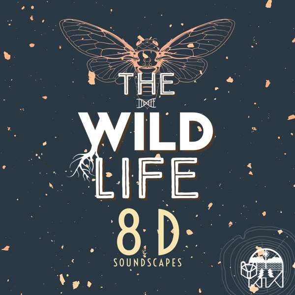 The Wild Life: 8D Soundscapes – The Wild Life