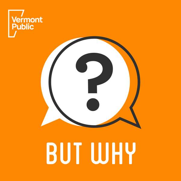 But Why: A Podcast for Curious Kids – Vermont Public