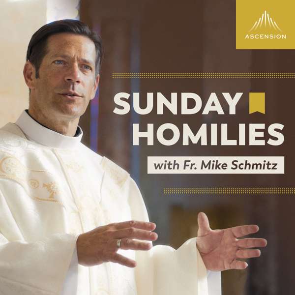 Sunday Homilies with Fr. Mike Schmitz – Ascension