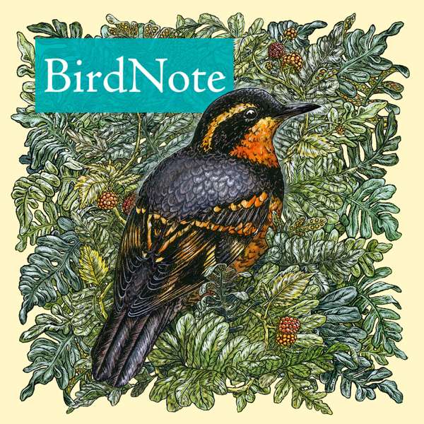 BirdNote Daily – BirdNote
