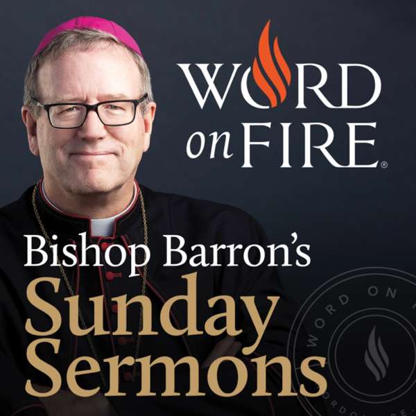 Bishop Barron’s Sunday Sermons – Catholic Preaching and Homilies – Bishop Robert Barron
