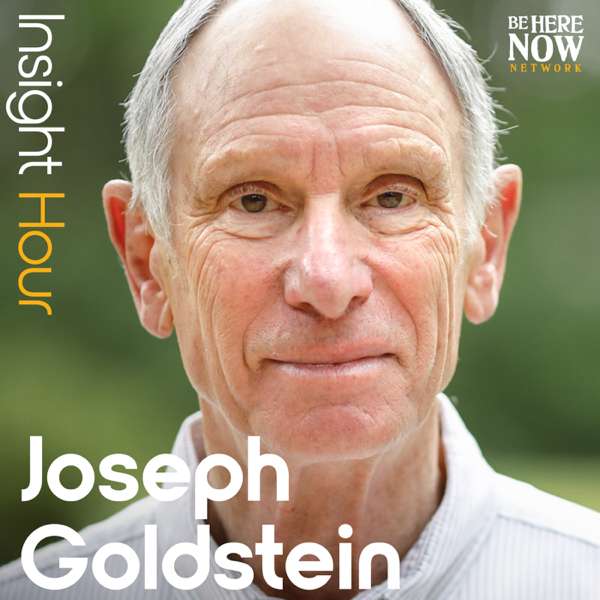 Insight Hour with Joseph Goldstein – Be Here Now Network