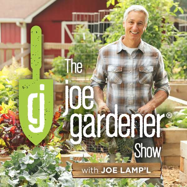 The joe gardener Show – Organic Gardening – Vegetable Gardening – Expert Garden Advice From Joe Lamp’l