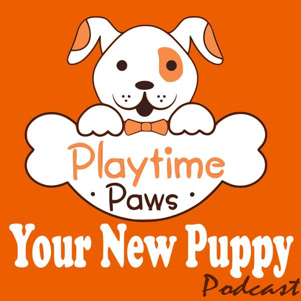 Your New Puppy: Dog Training and Dog Behavior Lessons to Help You Turn Your New Puppy into a Well-Behaved Dog – Debbie Cilento: Dog Trainer | Dog Behavior Consultant | Owner of Playtime Paws | Belly Rub Specialist