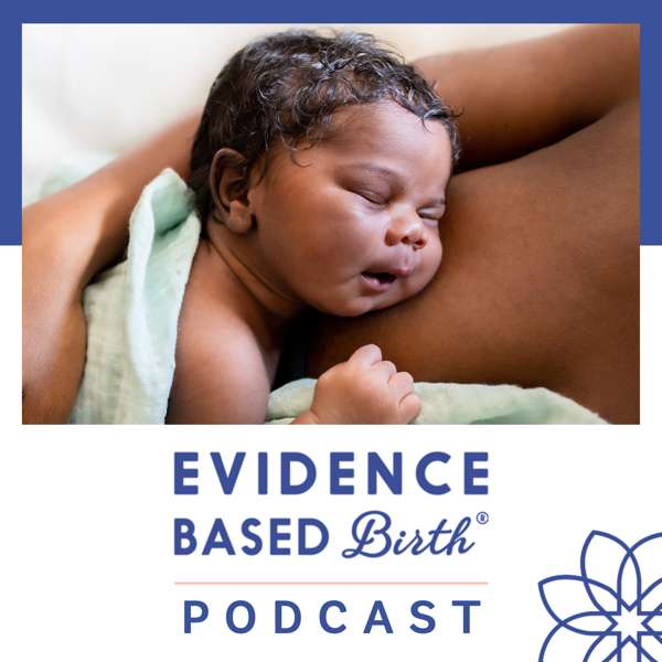 Evidence Based Birth® – Rebecca Dekker, PhD, RN