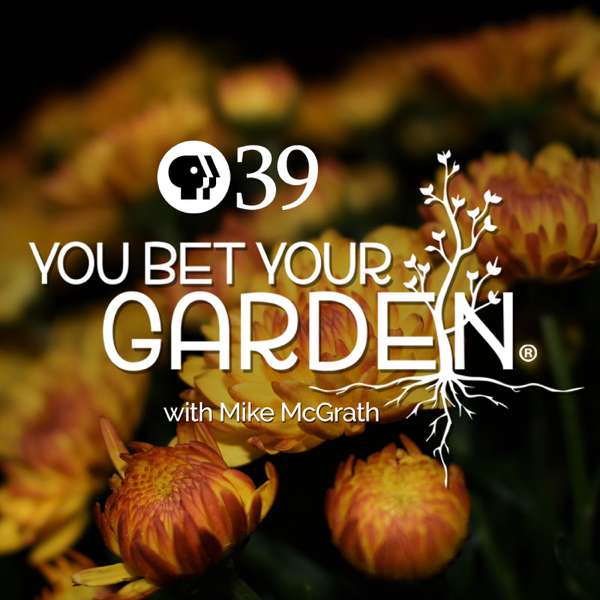 You Bet Your Garden – Lehigh Valley Public Media