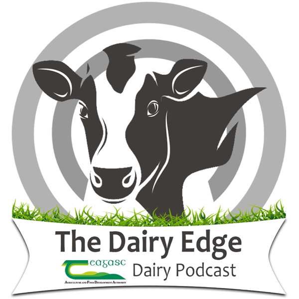 The Dairy Edge – Teagasc