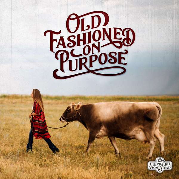 Old Fashioned On Purpose – Jill Winger