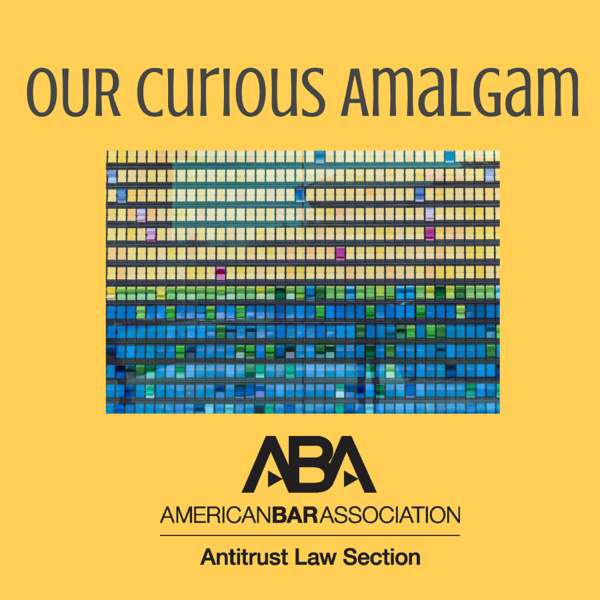 Our Curious Amalgam – American Bar Association