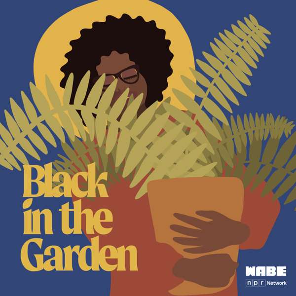 Black in the Garden – Colah B