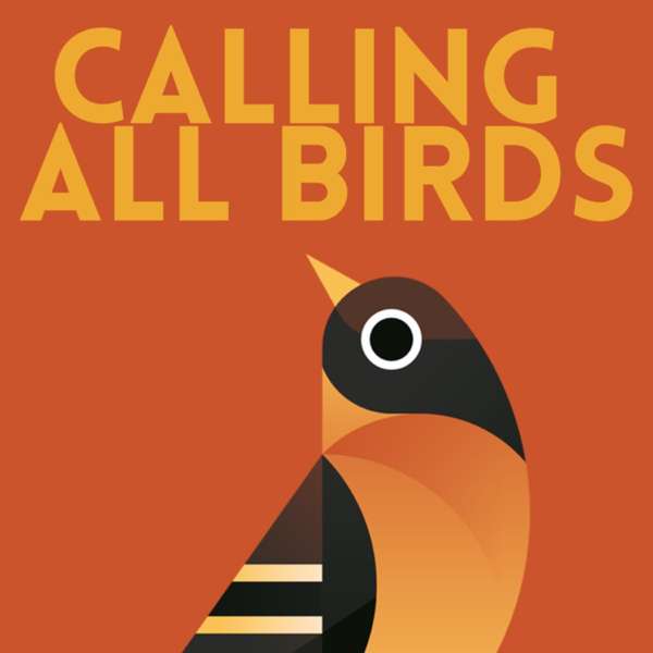 Calling All Birds