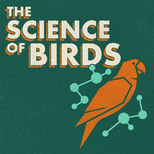 The Science of Birds – Ivan Phillipsen