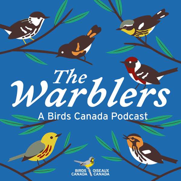 The Warblers by Birds Canada – Andrea Gress for Birds Canada