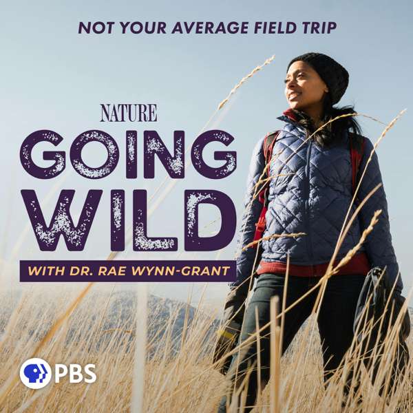 Going Wild with Dr. Rae Wynn-Grant – PBS Nature