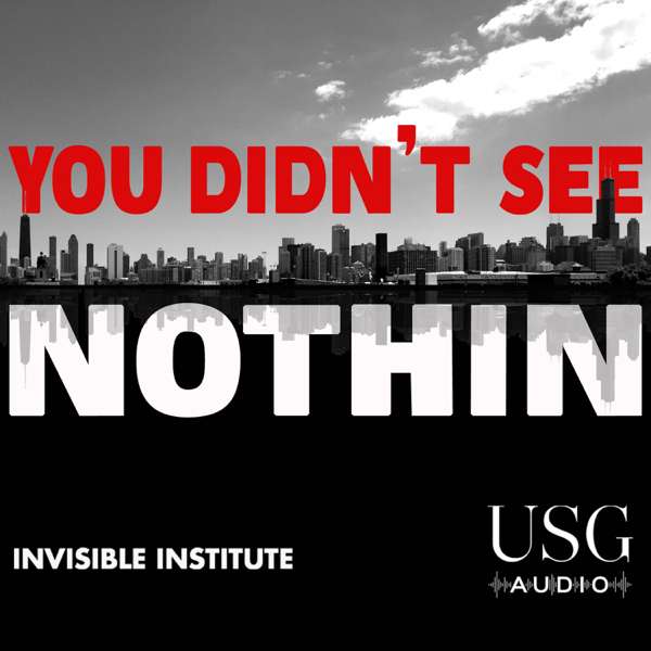 You Didn’t See Nothin – USG Audio