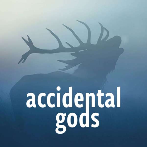 Accidental Gods – Accidental Gods