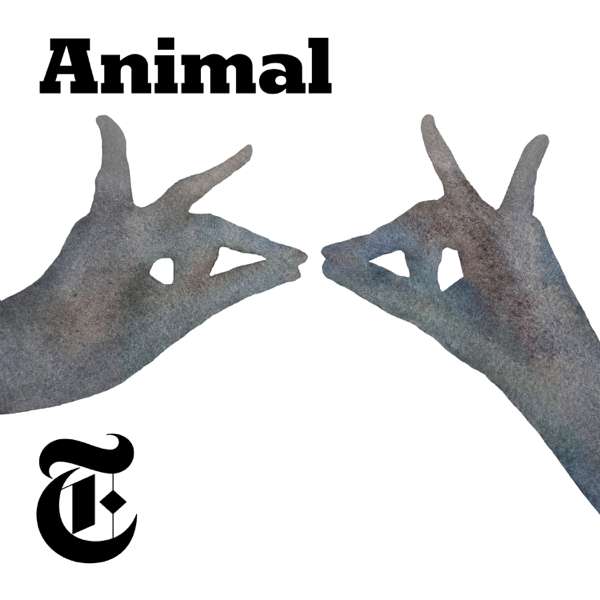 Animal – The New York Times