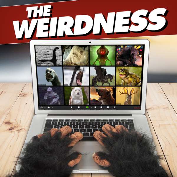The Weirdness – GZM Shows