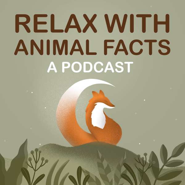 Relax With Animal Facts – Stefan Wolfe