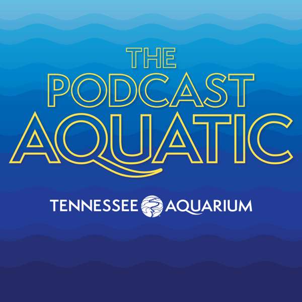 The Podcast Aquatic