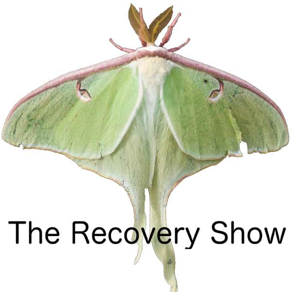 The Recovery Show » Finding serenity through 12 step recovery in Al-Anon – a podcast – The Recovery Show
