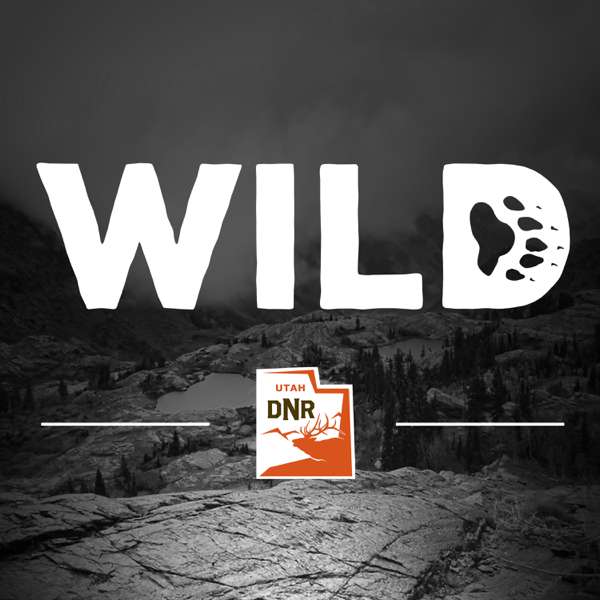 Wild – Utah Division of Wildlife Resources
