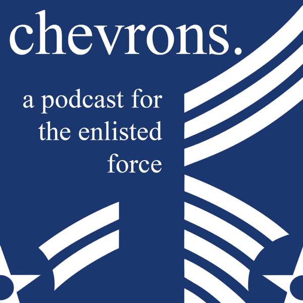 Chevrons – 102nd Intelligence Wing