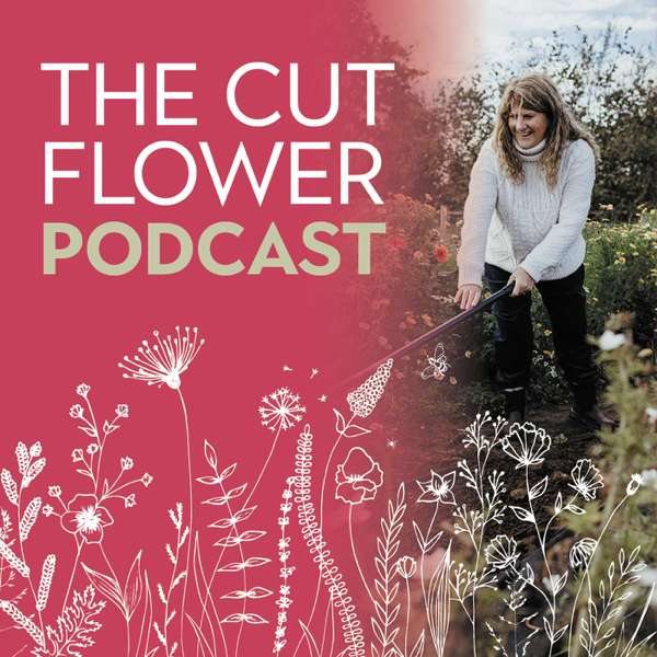 The Cut Flower Podcast – Roz Chandler