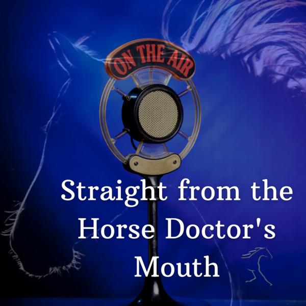 Straight from the Horse Doctor’s Mouth