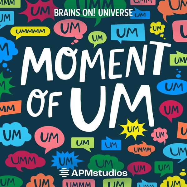 Moment of Um – American Public Media