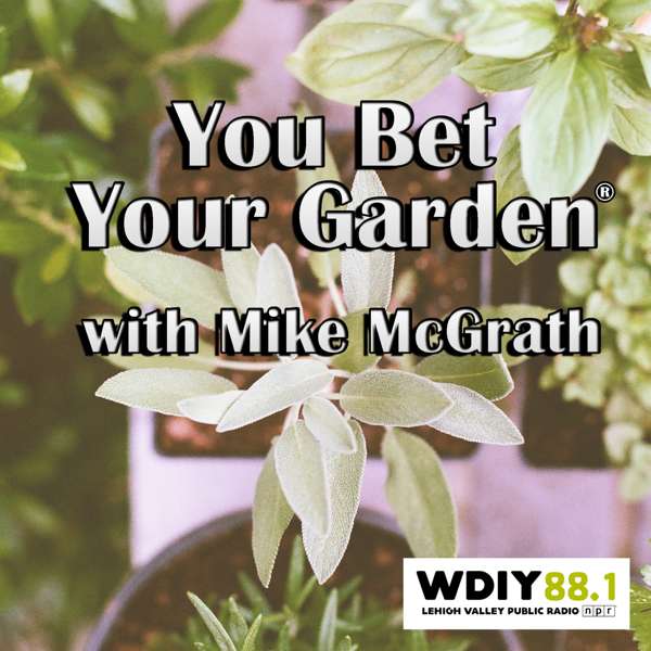 You Bet Your Garden – WDIY 88.1 FM