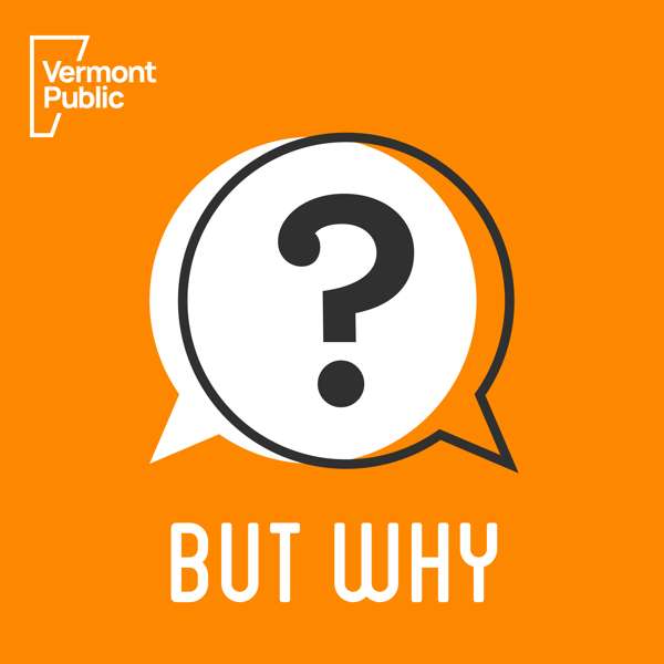 But Why: A Podcast for Curious Kids