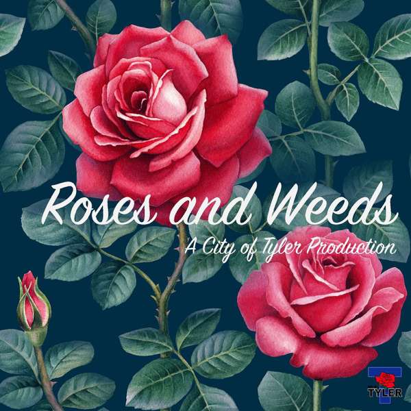 Roses & Weeds – City of Tyler Texas