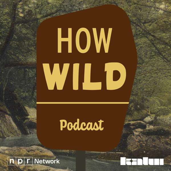 How Wild – NPR