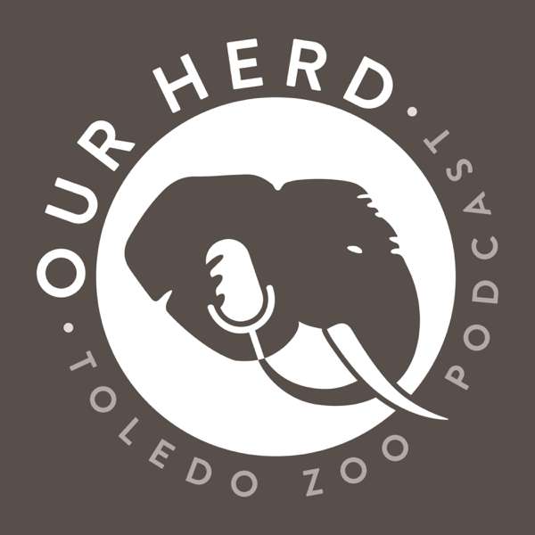 Our Herd: Toledo Zoo Podcast