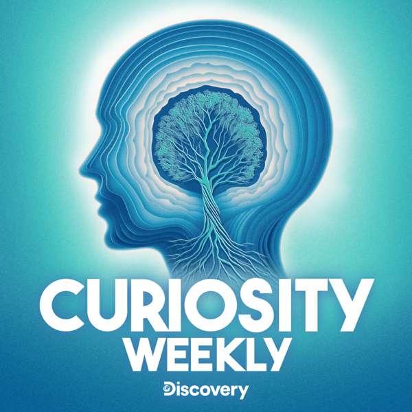 Curiosity Weekly – Discovery