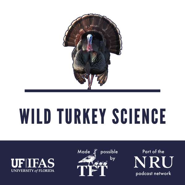 Wild Turkey Science