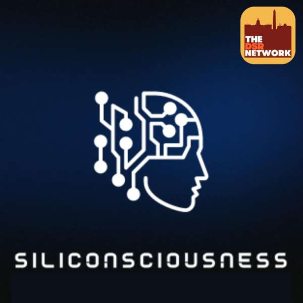 DSR’s Siliconsciousness – The DSR Network