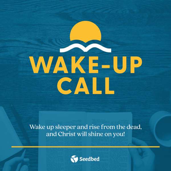 The Wake-Up Call – Seedbed