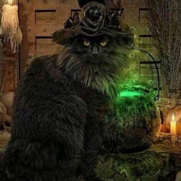 Stirring the Cauldron – Marla Brooks