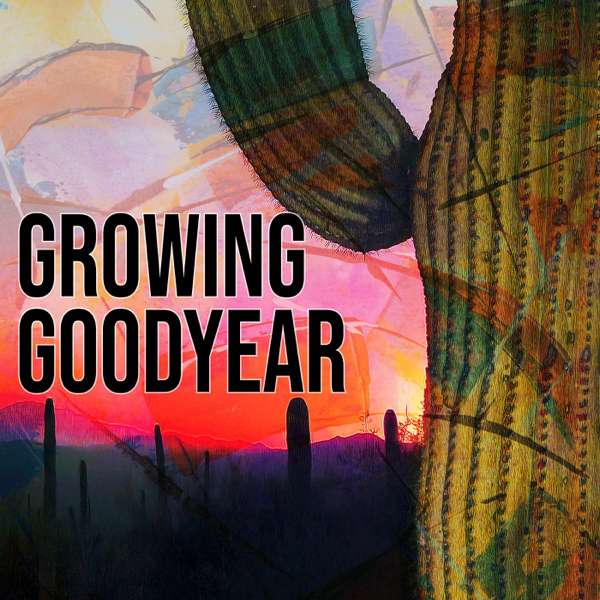 Growing Goodyear – Digital Communications