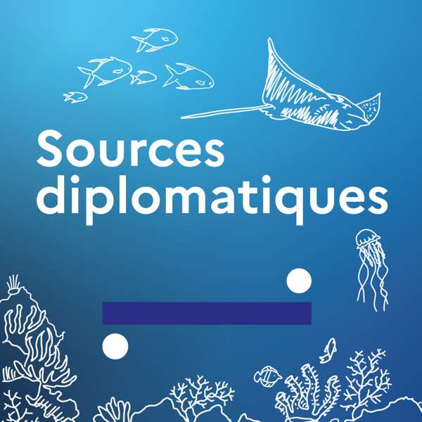 Sources diplomatiques