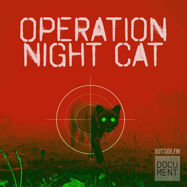 Operation Night Cat – New Hampshire Public Radio