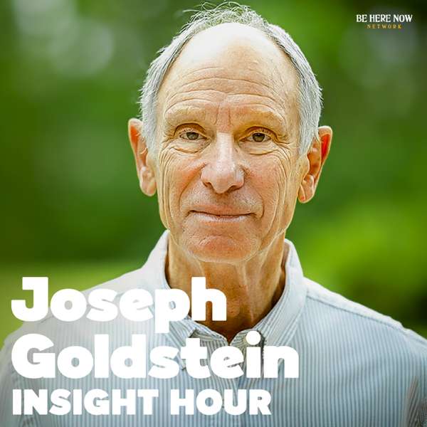 Insight Hour with Joseph Goldstein – Be Here Now Network