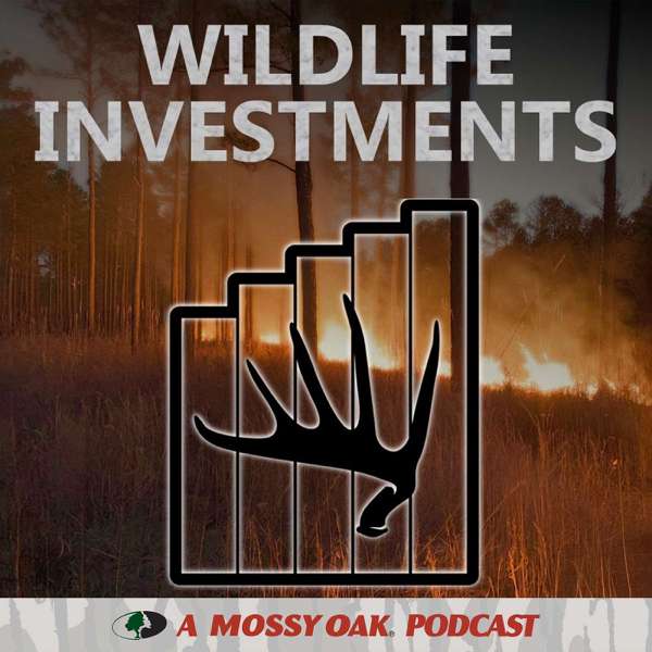 Wildlife Investments – Moriah Boggess