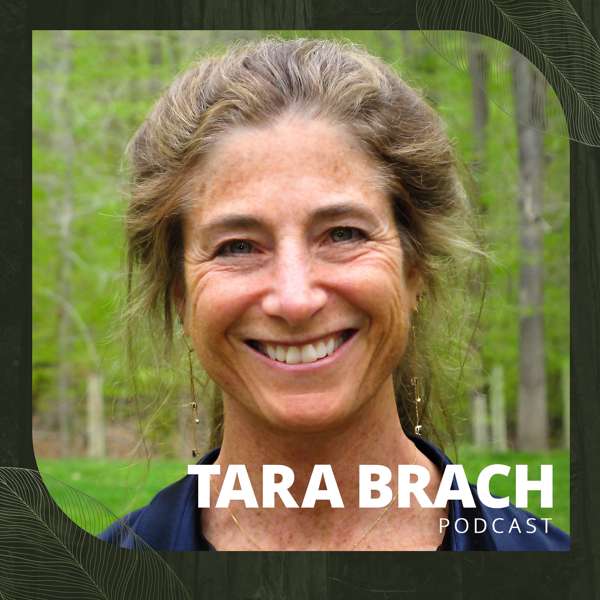 Tara Brach – Tara Brach
