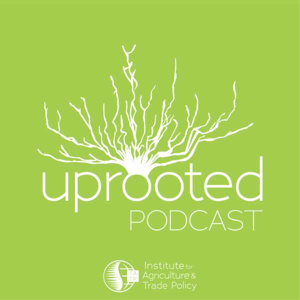 Uprooted – IATP