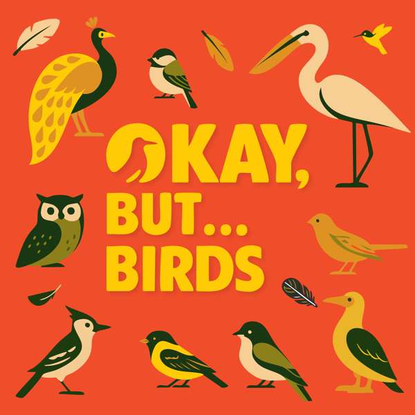 Okay, But… Birds – Dr. Scott Taylor