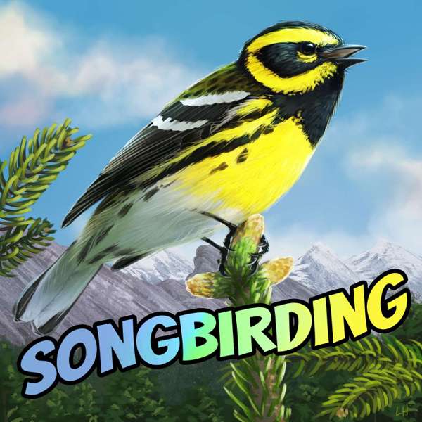 Songbirding – Rob Porter