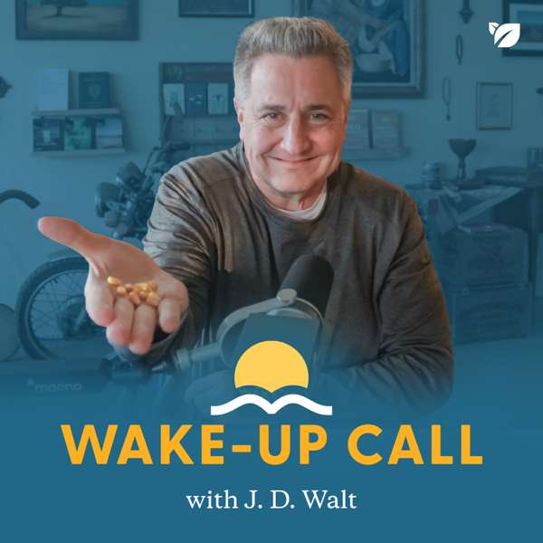 The Wake-Up Call – Seedbed